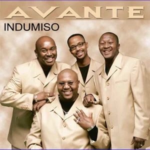 avante-indumiso