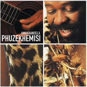 phuzekhemisi-amakhansela