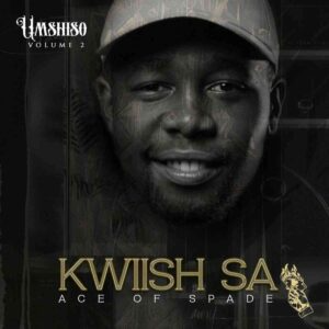 Kwiish SA – Izintsizwa ft. Sam Deep & Malumnator