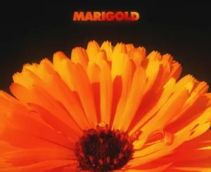 Marigold-Alex-Isley-and-Jack-Dine