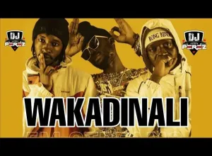 DOWNLOAD-Wakadinali-x-Costa-Titch-–-Geri-Inengi-ft-SirBwoy.webp