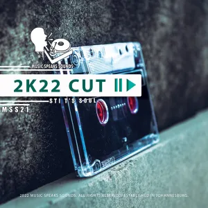 STI-Ts-Soul-–-2k22-Cut-Remixes