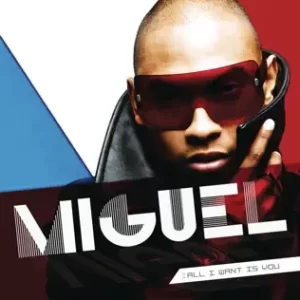 All-I-Want-Is-You-Miguel