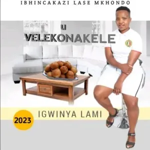  Velekonakele - Igwinya lami