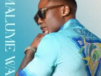 DJ Tira & Bhuwa G – Bhuwa’s Party ft Campmasters, Solan Lo, DJ Pepe & Kwah