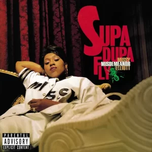 Missy Elliott - The Rain (Supa Dupa Fly)