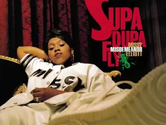 Missy Elliott - The Rain (Supa Dupa Fly)