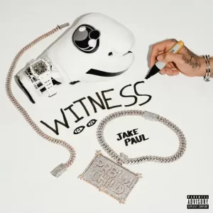 jake paul - witness