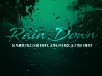 OG Parker, Chris Brown & Layton Greene - Rain Down (feat. PnB Rock & Latto)