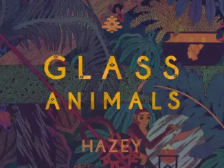 Glass Animals – Hazey