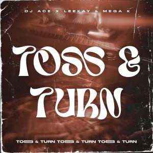 DJ Ace, LeeKay & Mega K - Toss & Turn