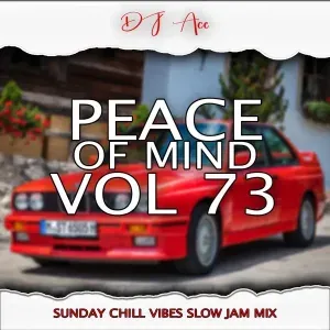 DJ Ace - Peace of Mind Vol. 73 (Sunday Chill Vibes Slow Jam Mix)