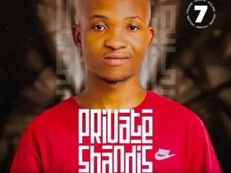 Tots SA - Private Shandis Vol.7 Mix