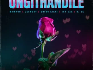 Baby Momo – Ungithandile ft. MaWhoo, Ceenday, Jay Sax & Shino Kikai