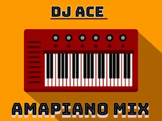 DJ Ace - 02 February 2024 (Amapiano Mix)