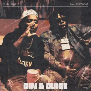 21 Lil Harold - Gin & Juice (feat. BigXthaPlug)