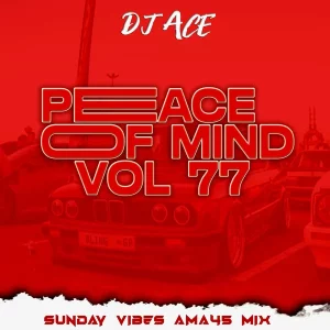 DJ Ace - Peace of Mind Vol 77