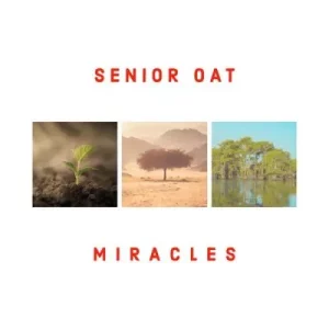 Senior Oat - Your Child ft Kemy Chienda