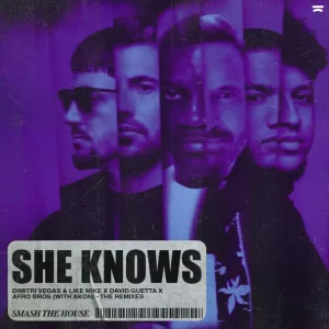 Dimitri Vegas & Like Mike, David Guetta & AfroBros – She Knows (feat. Akon) [The Remixes]