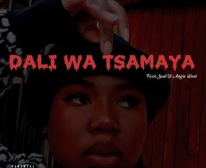 Toxic Soul & Angie West – Dali Wa Tsamaya ft Musa De Guitarist & Legit Folks MusiQ