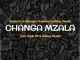 Golden Djz, Nkanyezi Kubheka & ToniQue MusiQ - Changa Mzala ft Style 99 & Galaxy MusiQ