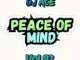 DJ Ace – Peace of Mind Vol 97 (22 September 2024 MidTempo Mix)