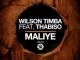 Wilson Timba – Maliye Ft. Thabiso Vocalist