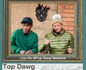 Skroef28 & Hugo – Top Dawg Sessions Amapiano Mix